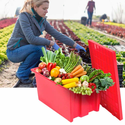 Global Industrial Stack and Nest Storage Container SNT240 No Lid 23-1/2 x 15-1/2 x 12, Red - Pkg Qty 3 18 Global Industrial Stack and Nest Storage Container SNT240 No Lid 23-1/2 x 15-1/2 x 12, Red - Pkg Qty 3 - Image 18