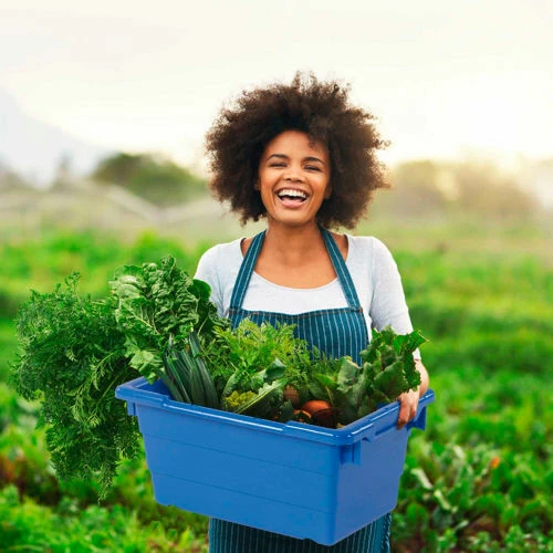 Quantum Storage Systems Quantum Cross Stack Nest Tub TUB1711-8 - 17-1/4 x 11 x 8 Blue - Pkg Qty 6 11 Quantum Storage Systems Quantum Cross Stack Nest Tub TUB1711-8 - 17-1/4 x 11 x 8 Blue - Pkg Qty 6 - Image 11