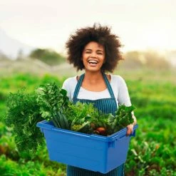 Quantum Storage Systems Quantum Cross Stack Nest Tub TUB1711-12 - 17-1/4 x 11 x 12 Blue - Pkg Qty 6