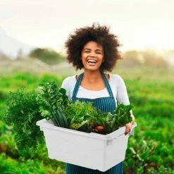 Quantum Storage Systems Quantum Cross Stack Nest Tub TUB2417-8 - 23-3/4 x 17-1/4 x 8 White - Pkg Qty 6