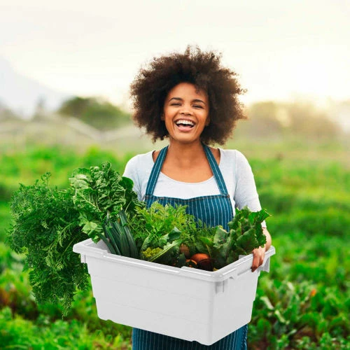 Quantum Storage Systems Quantum Cross Stack Nest Tub TUB2417-8 - 23-3/4 x 17-1/4 x 8 White - Pkg Qty 6 1 Quantum Storage Systems Quantum Cross Stack Nest Tub TUB2417-8 - 23-3/4 x 17-1/4 x 8 White - Pkg Qty 6