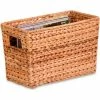 Honey-Can-Do Magazine Banana Leaf Tote Basket - Pkg Qty 2