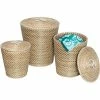 Honey-Can-Do® 3-Piece Tall Nested Baskets with Lids - Natural, White